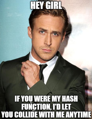 Meme, photo de Ryan Gosling regardant l'objectif, le texte est : Hey girl, if you were my hash function, I'd let you collide with me anytime